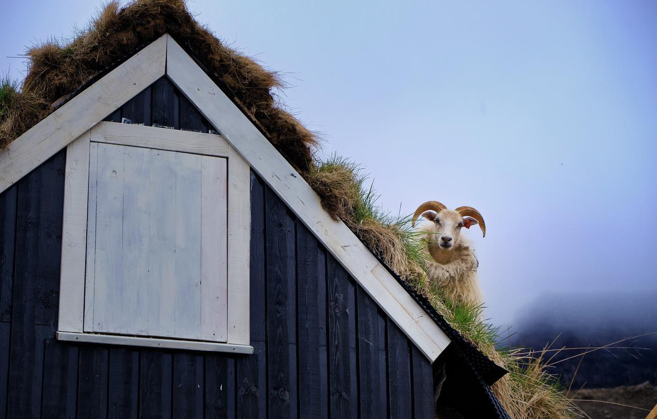 Hraunsnef Country Hotel Bifröst Eksteriør bilde